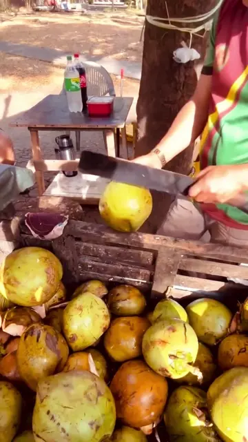 Mi ojo 😂😂😂 SI ANTES TE HUBIERA CONOCIDO Ya SalióoooOOOOO !!! 🥥☀️🌴🌊🌺🐠🦋 Ya la escuchaste ???? 