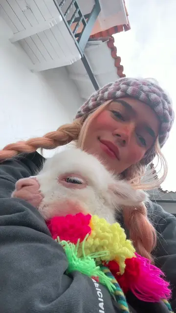 Baby alpaca 🥹💗 Te amo Jaimito #fyp #🥺 